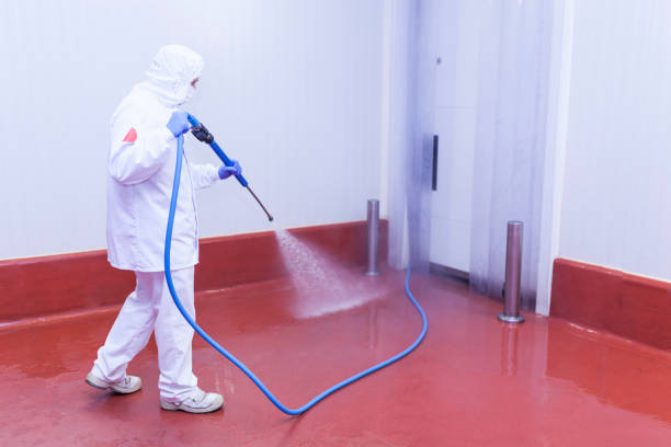 Best Restaurant Pressure Washing  in Smiths Station, AL